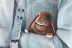 Texts about my works